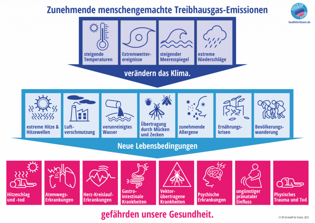 H4F-Folgen-fuer-Gesundheit-A1-1536x1086